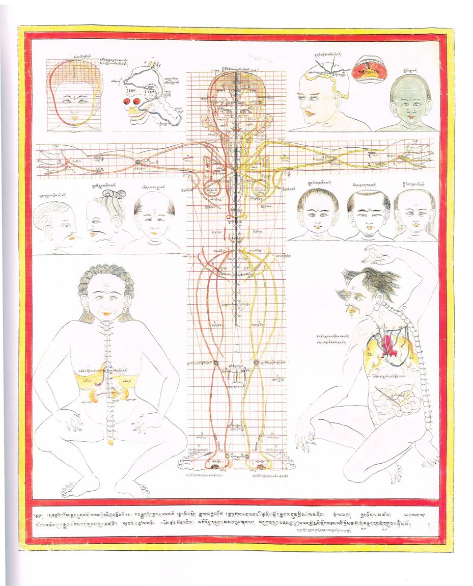 Planche traditionnelle tibétaine représentant les canaux et les points du corps
