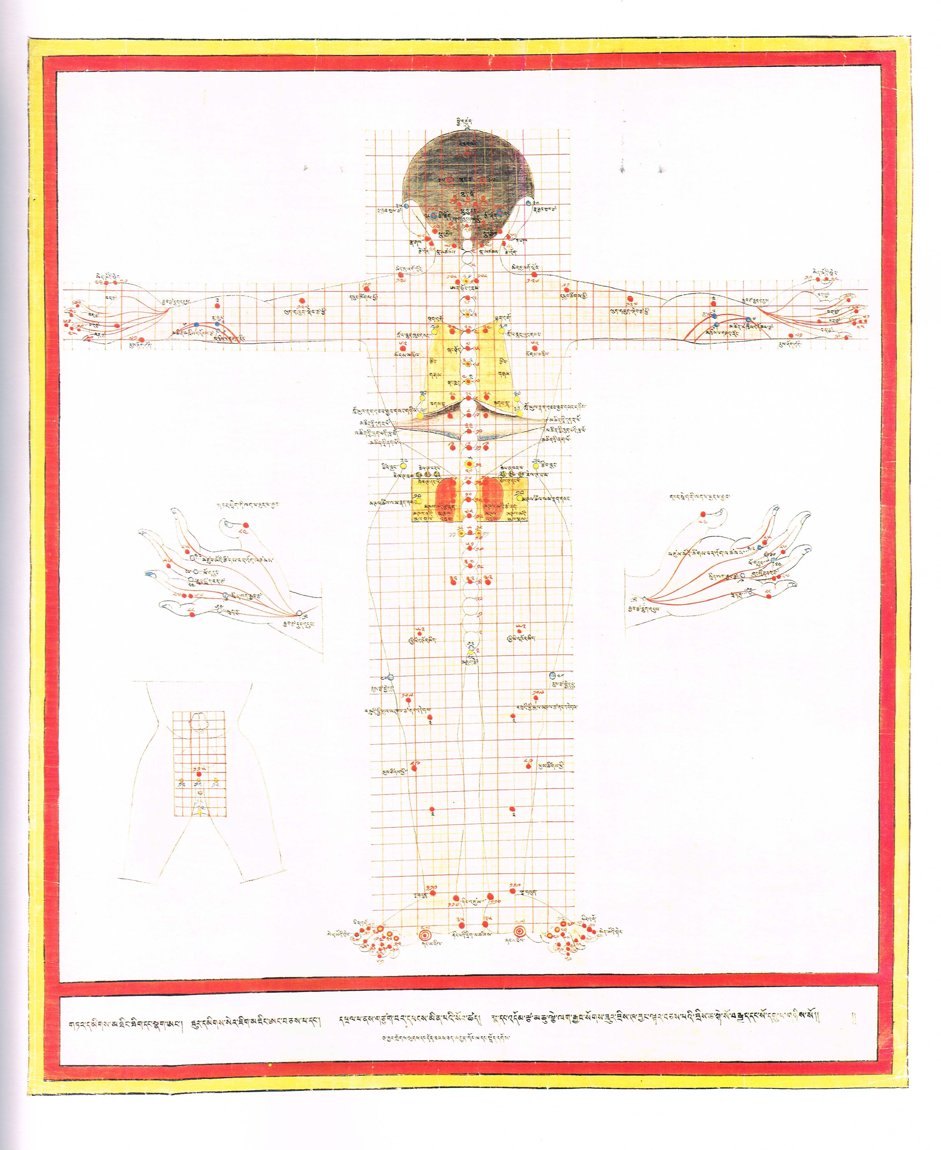 Planche traditionnelle tibétaine des points de moxibustion