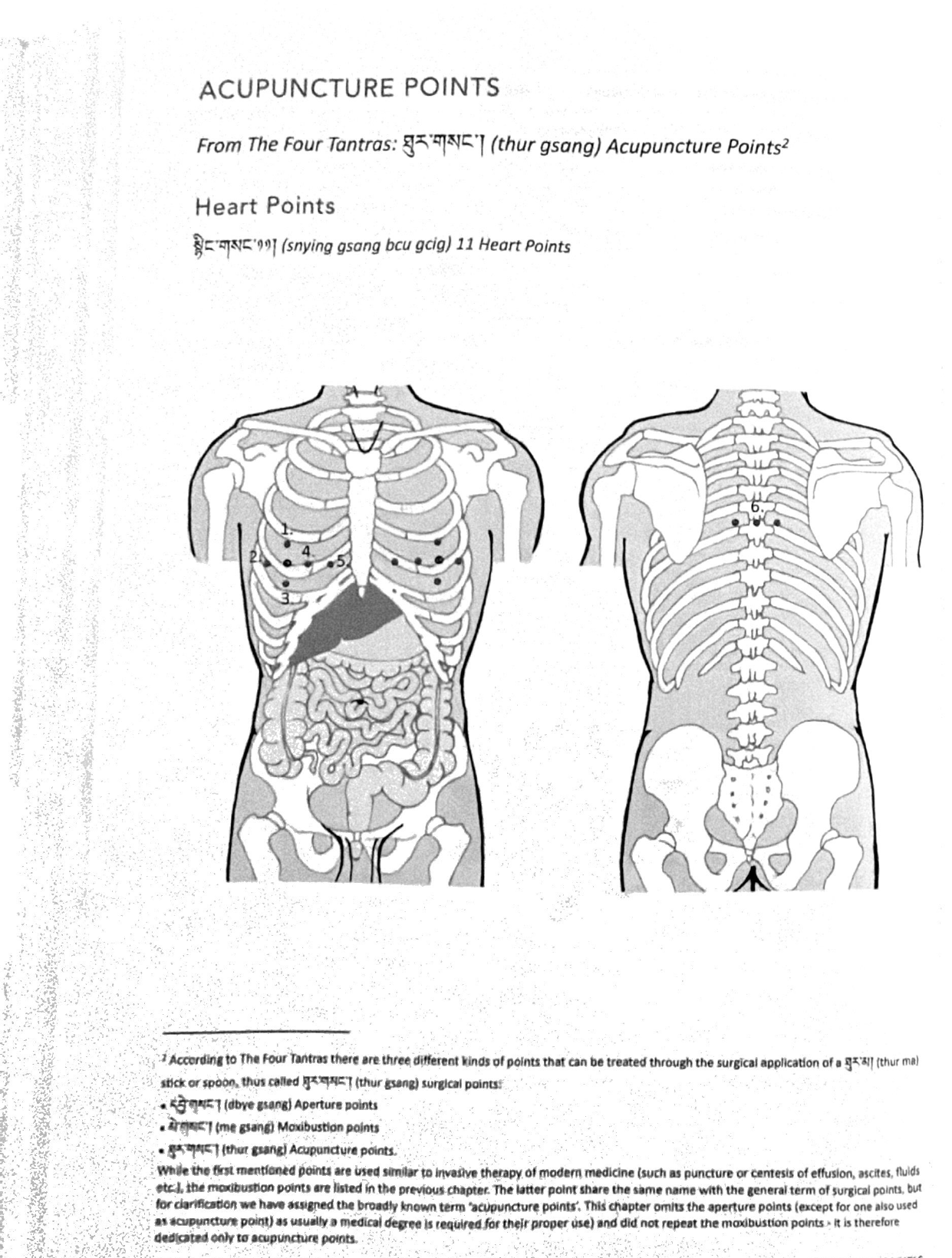 Planche ancienne montrant des points d'acupuncture en lien avec le cœur